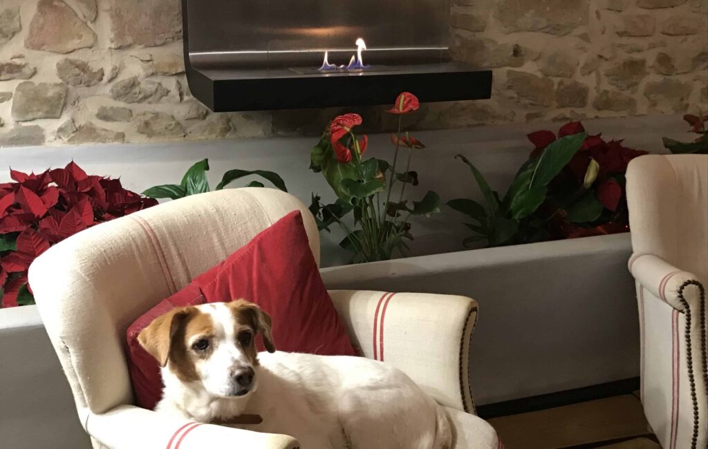 La mia canina Mariuccia rilassata davanti al caminetto