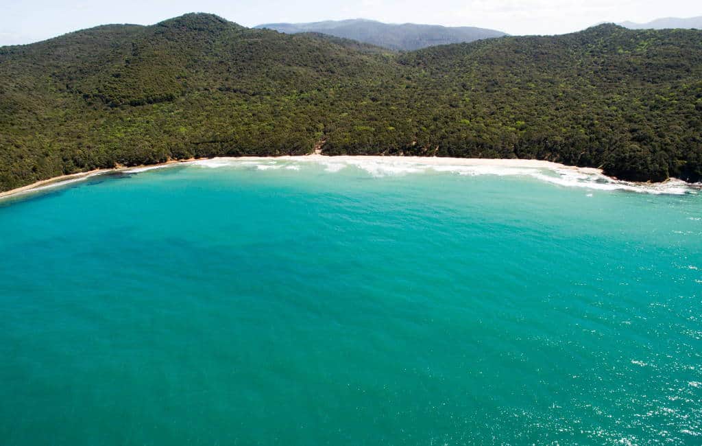 mare-maremma-1.jpg