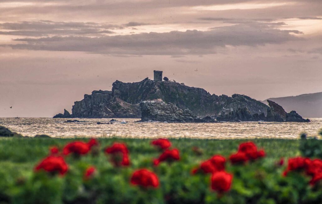 Punta Ala